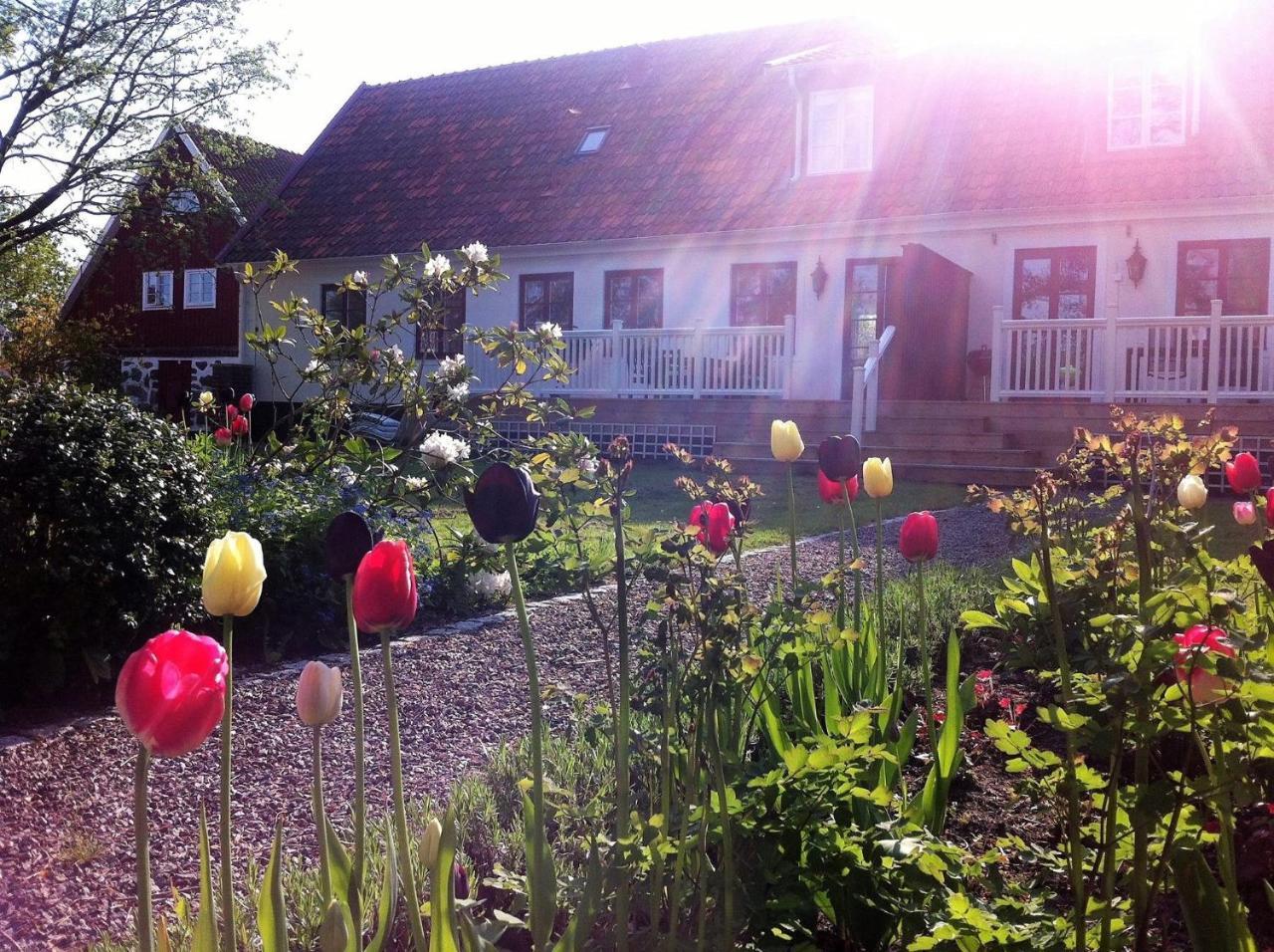 Svanebaecks Gard Viken  Exterior foto